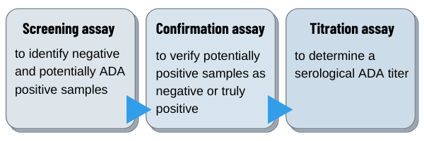 Flowchart displays three-tier approach of immunogenicity assessment: screening assay, confirmatory assay, titration assay.