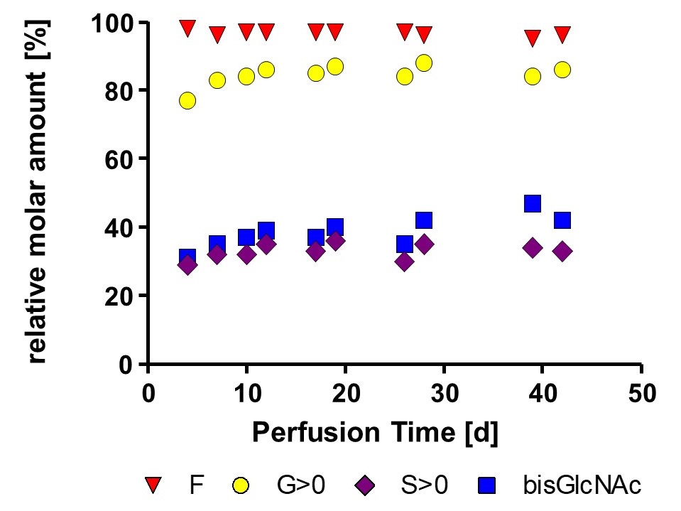 Graphic Glycan profil stability of non-optimized mAb produced in perfusion process