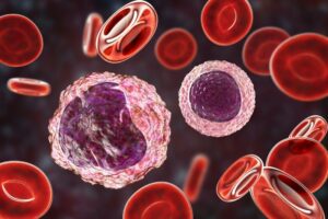 White and red blood cells used for functional and potency bioassays