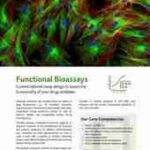 Flyer on analytical services regarding functional and potency bioassays for application within preclinical and clinical studies