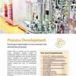 Flyer about USP & DSP process  development services. 