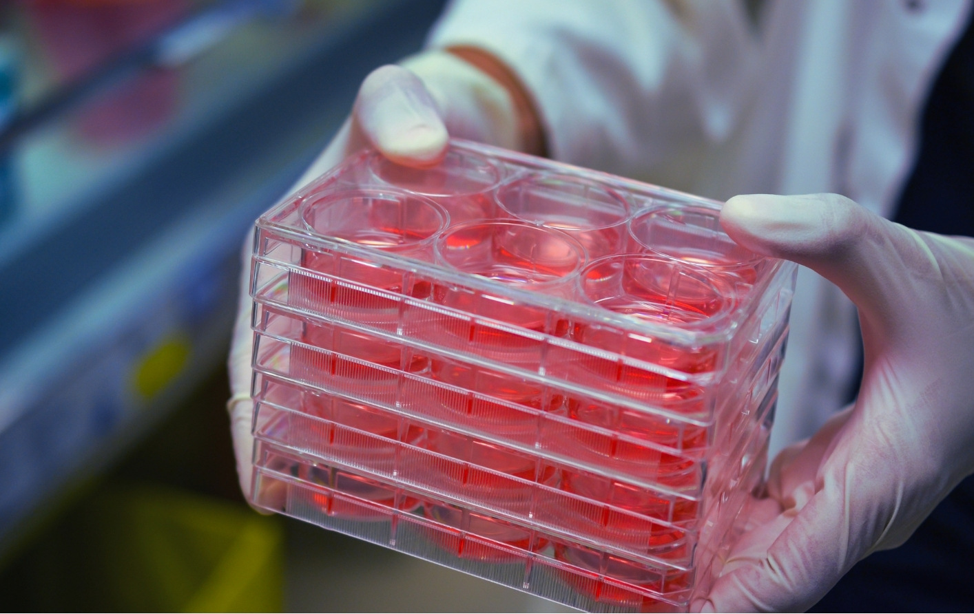 Lab technician carrying cell culture plates used in a host cell feasibility study