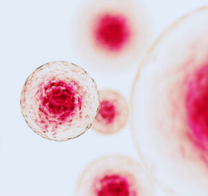 Host cell line for cell line development services