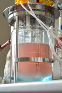 bioreactor with cell culture medium used for USP process development