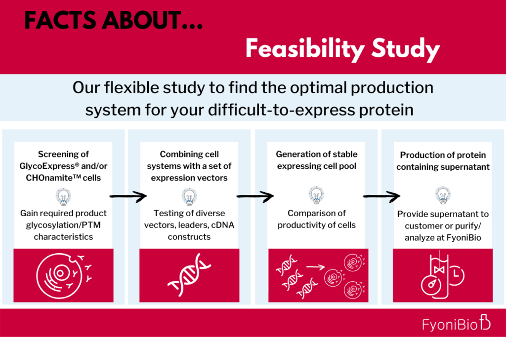 Fact sheets about feasibility study that outlines the steps for the production of proteins using the GlycoExpress and CHOnamite cell lines.