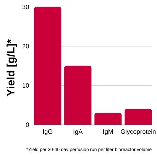 Graph showing productivity of GlycoExpress cell lines in different human cell line service projects aiming for biopharmaceutical production.