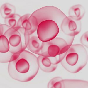 Schema of red GlycoExpress cells suitable for recombinant production of biotherapeutics and optimized during FyoniBio's human cell line service.