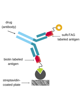 ECLIA scheme showing drug capture by biotinylated antigen and detection by sTAG-labeled antigen