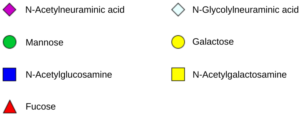 Overview of monosaccharide components found in mammalian glycan structures.