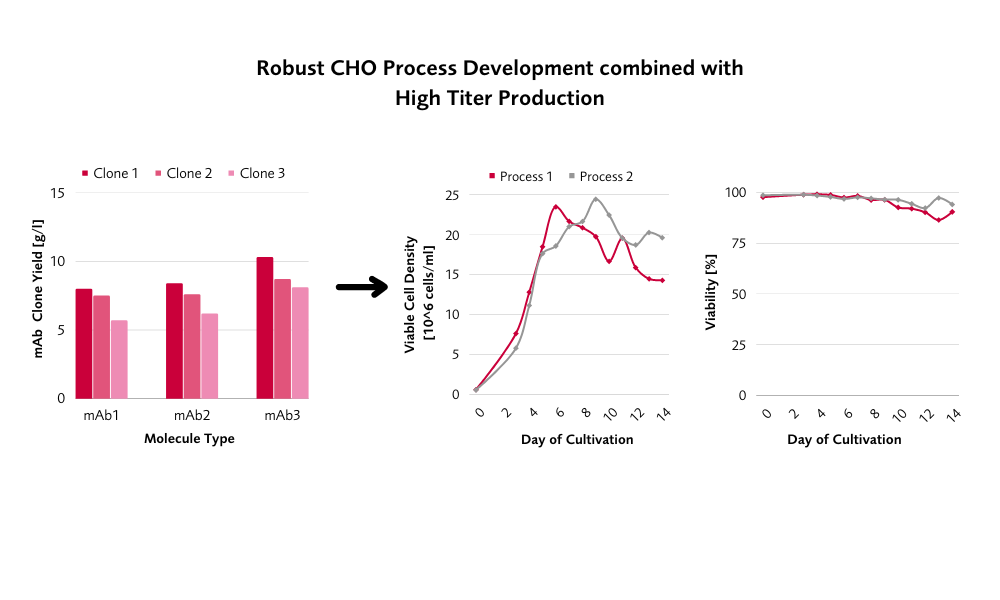 FyoniBio's CHO host cell lines meet GMP requirements