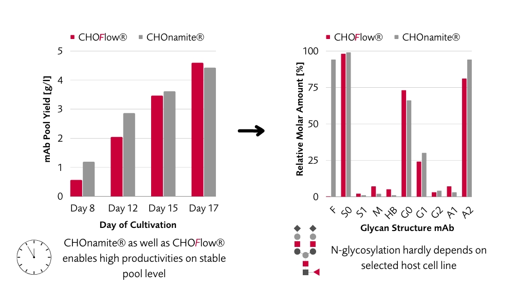 FyoniBio's CHO host cell lines are highly productive and allow for desired adjustment of drug glycosylation