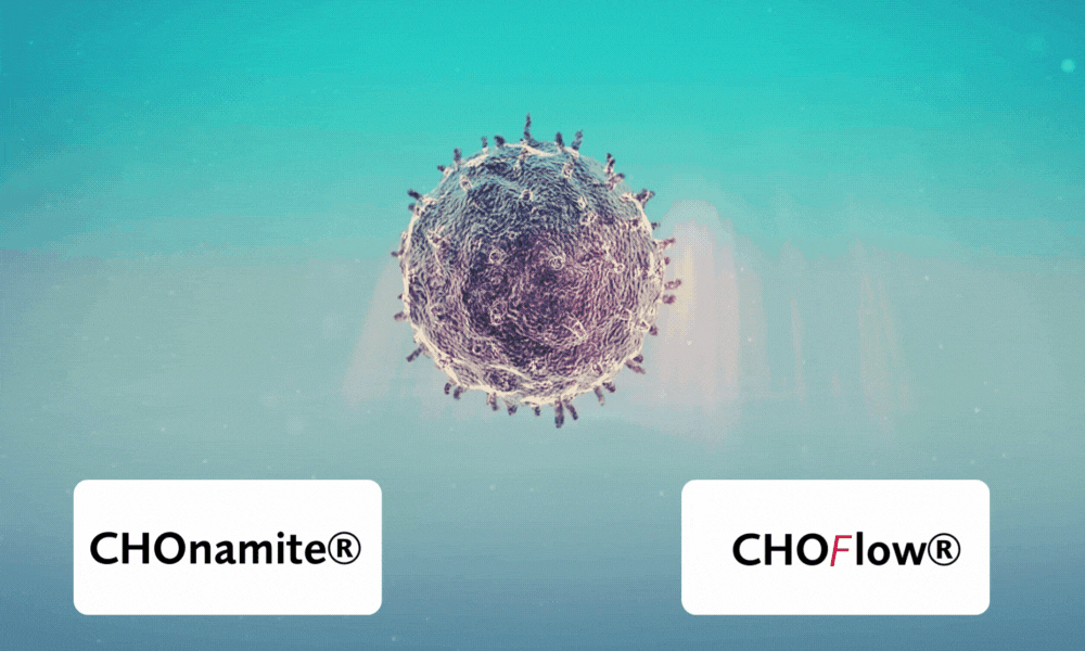 Biopharmceutical production in one of our CHO host cell lines.