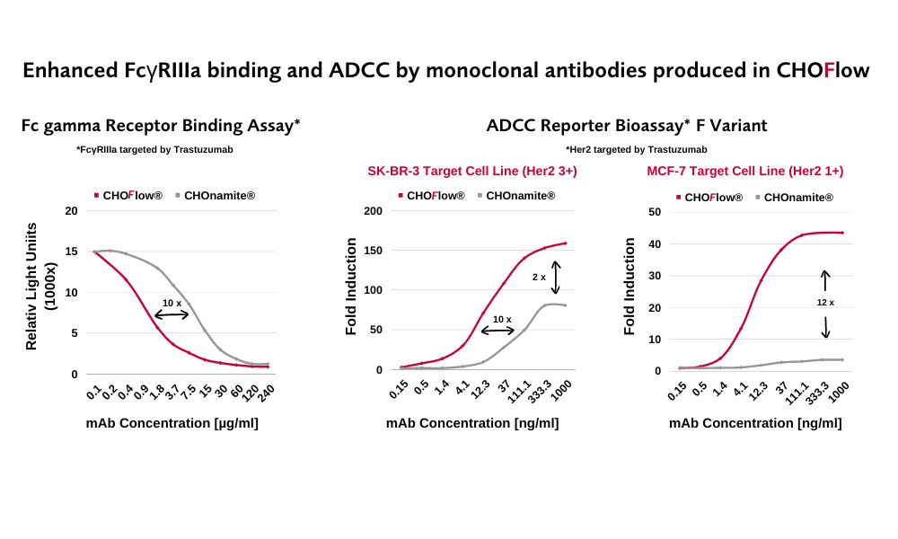 Afucosylated mAbs show enhanced effector cell binding and increased potency in target cell killing.