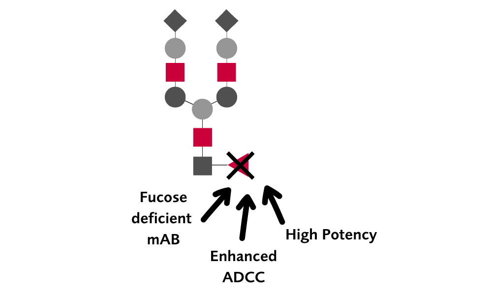 CHOFlow enables the production of afucosylated antibodies with increased potency.