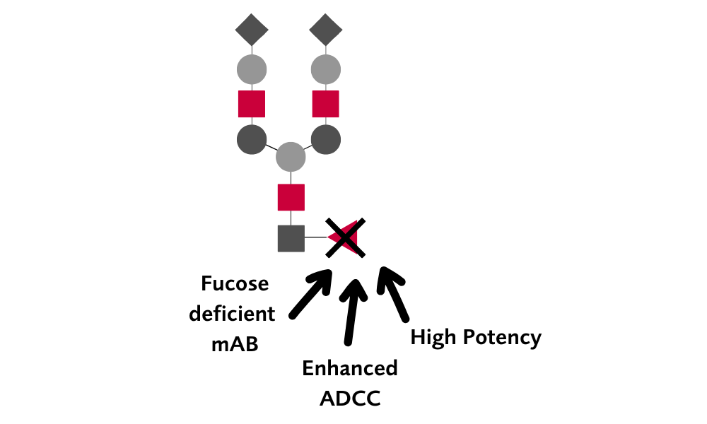 CHOFlow enables the production of afucosylated antibodies with increased potency. 