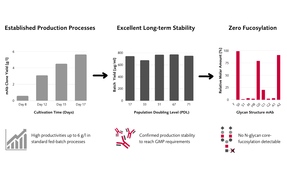 CHOFlow case study proves long-term clone stability, robust production process and desired glycosylation profile. 