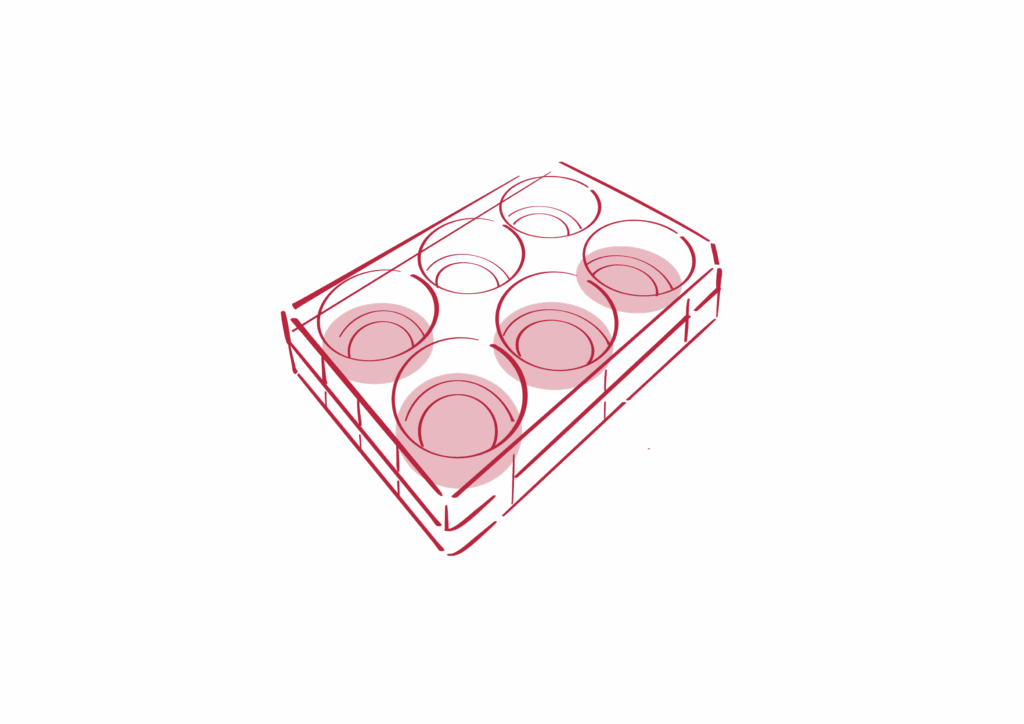 Red Plates