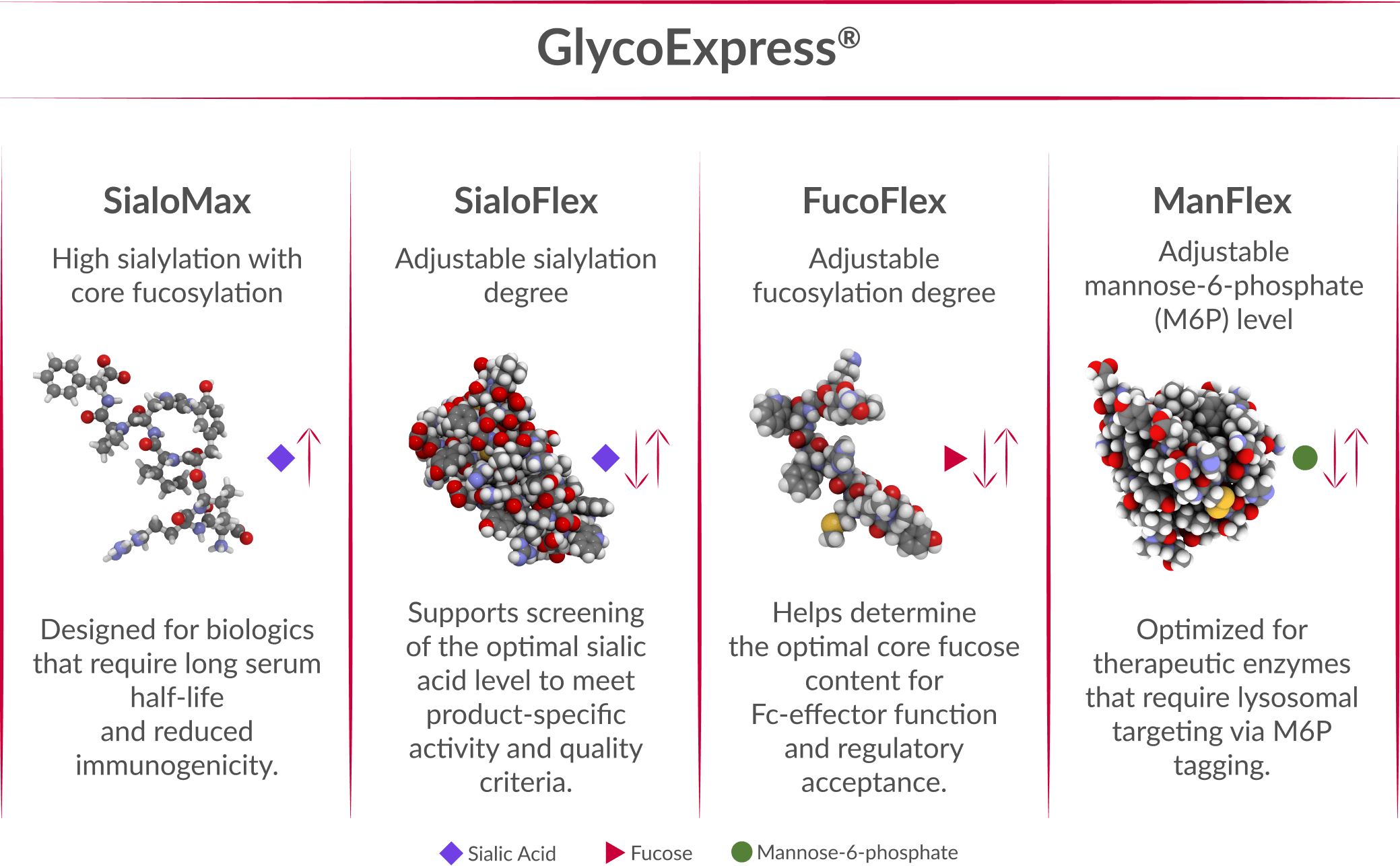 GlycoExpress Table